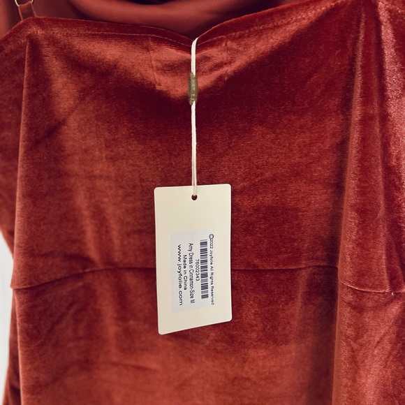 Joyfolie Velvet Mini Dress in Cinnamon - Picture 7 of 9